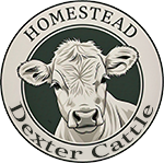 homesteadminiaturecattle.com